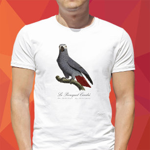 T-shirt Perroquet gris africain, Psittacus erithacus, vint