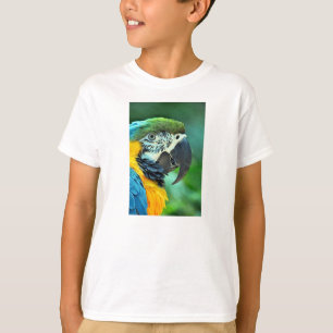 T-shirt Perroquet macaou coloré