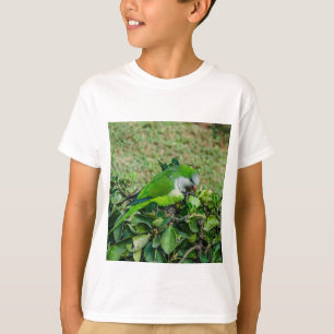 T-shirt Perroquet vert