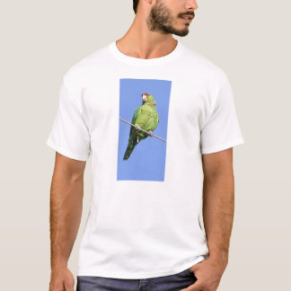T-shirt Perrot sauvage