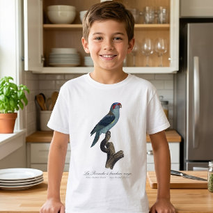 T-shirt Perruche à bandeau rouge / Loriquet à tête noire