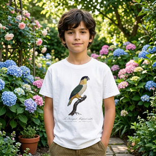 T-shirt Perruche à tête noire mâle, Pionites melanocephalu