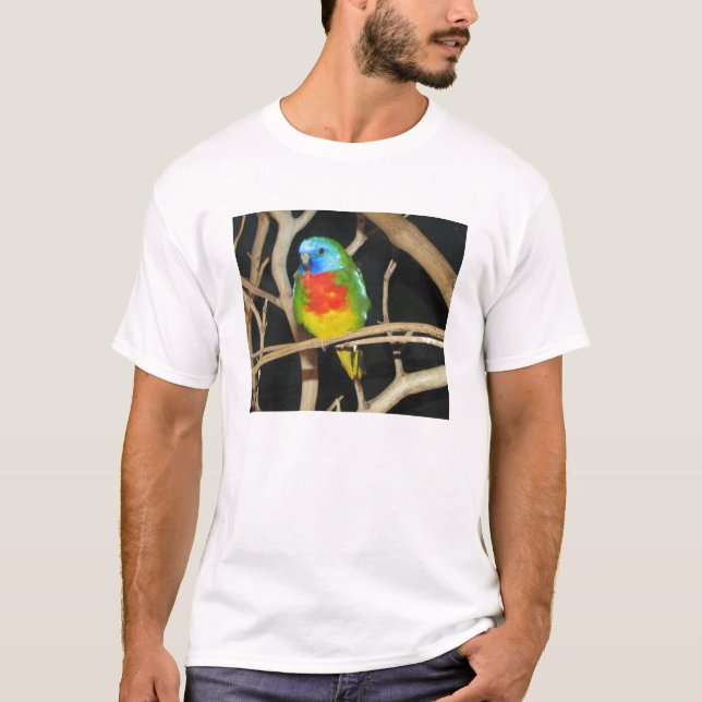 T-shirt Perruche Écarlate-Chested - splendida de Neophema (Devant)