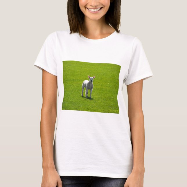 T-shirt Petit agneau (Devant)