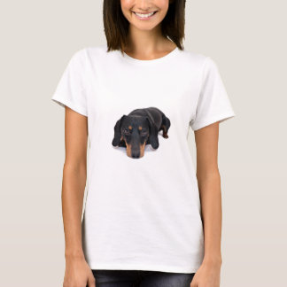 T-shirt Petit chien de teckel