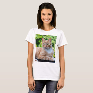 T-shirt Petit chou doux