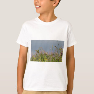 T-shirt Petit colibri gras