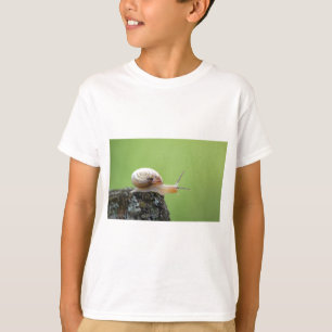 T-shirt Petit escargot sur le bord avec Arrière - plan ver