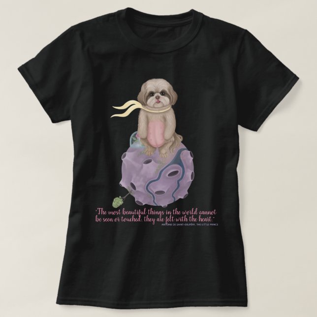 T-shirt Petit Prince (Design devant)