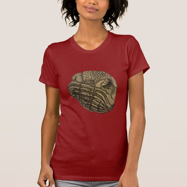 T-shirt Phacops (Devant)