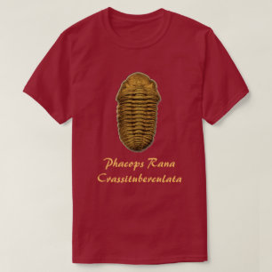 T-shirt Phacops Rana Crassituberculata