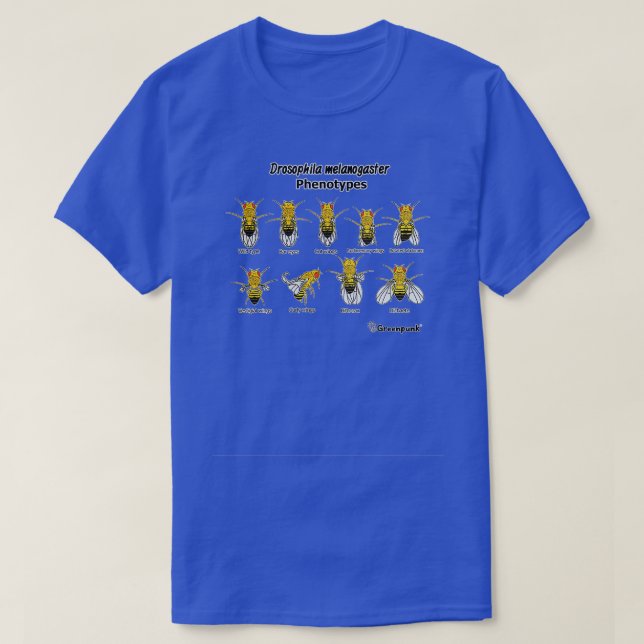 T-shirt Phénotypes de Drosophila melanogaster (Design devant)