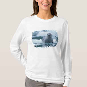 T-shirt phoque commun du pacifique, Phoca vitulina richard