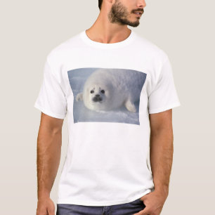 T-shirt Phoque du Groenland (Phoca groenlandica) Un harpe