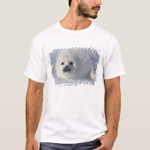 T-shirt Phoque du Groenland Phoca groenlandica) Un phoque