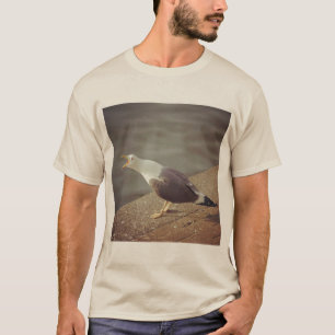 T-shirt Photo carrée - Mouette criarde