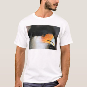 T-shirt Photo crêtée d'image de tir de tête de faucon d