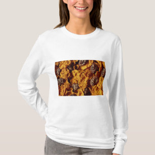 T-shirt Photo de céréale de raisin sec et de son