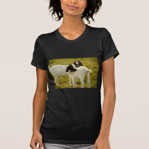 T-shirt Photo de chevreaux Boer bruns et blancs dans un pâ