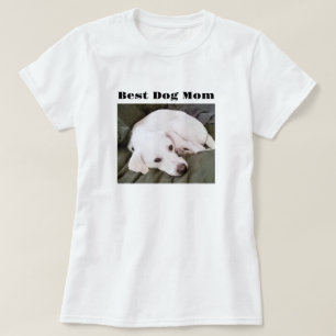 T-shirt Photo de mignonne Chien de Chien de Chien de Chien