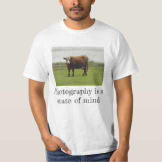 T-shirt photo de vache – Humeur de pâturage