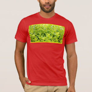 T-shirt Photo "Mint Plantes". Commandez dès maintenant