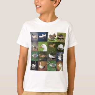 T-shirt Photo Patchwork Carré - Oiseaux