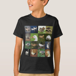 T-shirt Photo Patchwork Carré - Oiseaux