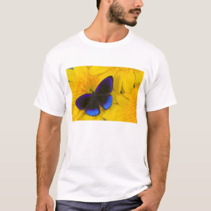 T-shirt Photographie de papillon