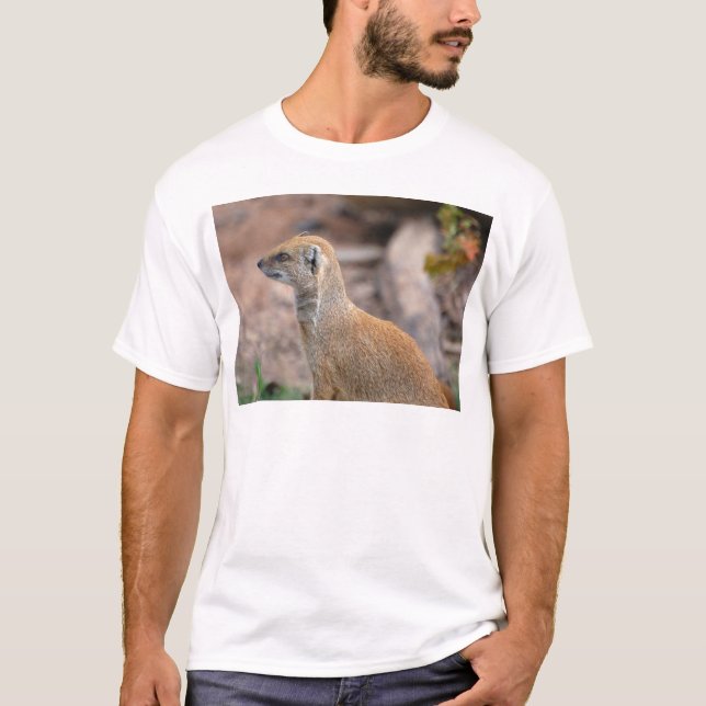 T-shirt Photographie jaune de mangouste (Devant)