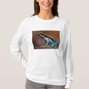 T-shirt Phyllobates vittatus, une grenouille flèche empois
