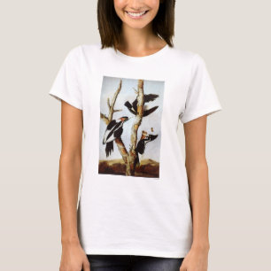 T-shirt Pic à bec d'ivoire