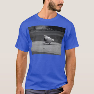 T-shirt Pidgeon