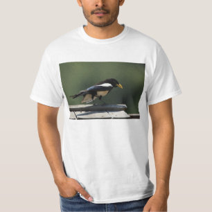 T-shirt Pie affichée par jaune