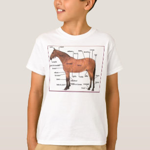 T-shirt pièce en t d'anatomie de cheval