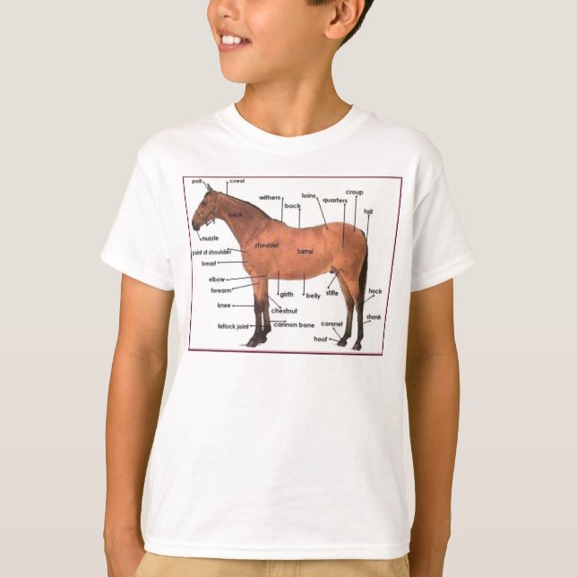 T-shirt pièce en t d'anatomie de cheval (Devant)