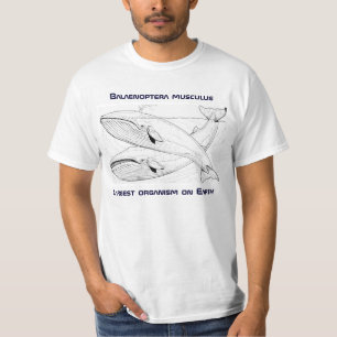 T-shirt Pièce en t de baleine bleue