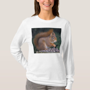 T-shirt Pièce en t de brunch d'écrou