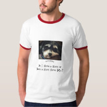 Pièce en t de sonnerie de Havanese