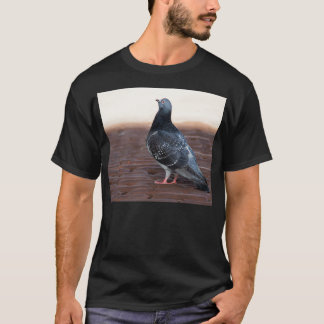T-shirt Pigeon