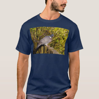 T-shirt Pigeon 2