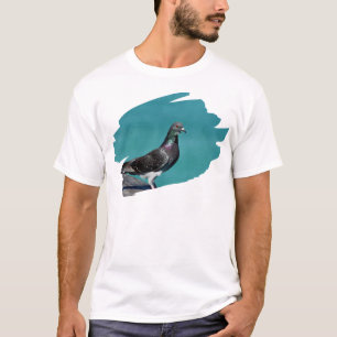 T-shirt Pigeon Avec Vue