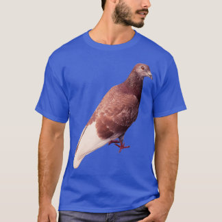 T-shirt Pigeon domestique 4