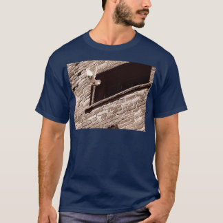 T-shirt Pigeon en vol