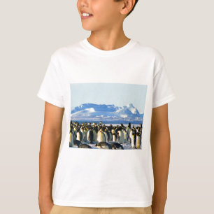 T-shirt Pingouins empereurs
