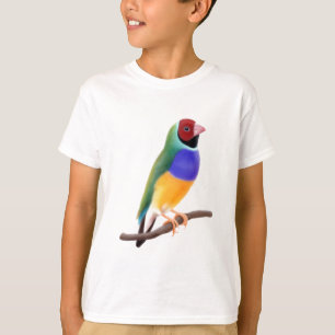 T-shirt Pinson de Gouldian