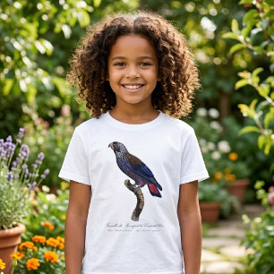 T-shirt Pionus fuscus, ou Pion gris-perle ou Pion sombre
