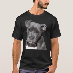 T-shirt Pitbull