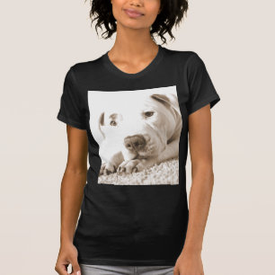 T-shirt pitbull blanc amical endormi, pas la race mais l'é