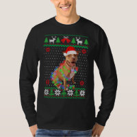 Pitbull Chien louche Noël Chien chiot